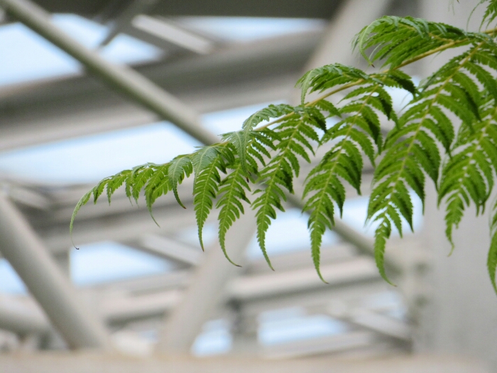 f:id:jerich:20180513002454j:plain f:id:jerich:20180513002454j:plain