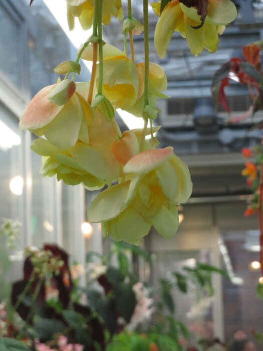 f:id:jerich:20180513004723j:plain f:id:jerich:20180513004723j:plain