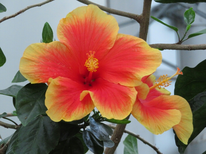 f:id:jerich:20180513010507j:plain f:id:jerich:20180513010507j:plain