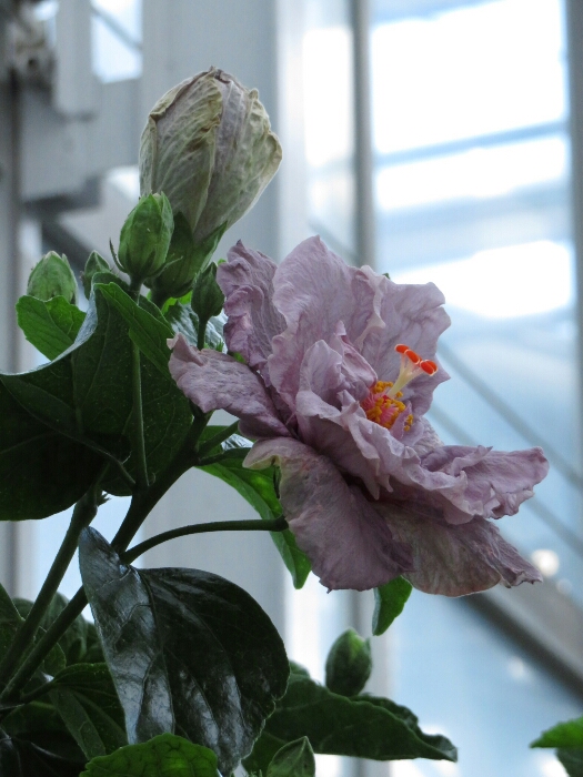 f:id:jerich:20180513010510j:plain f:id:jerich:20180513010510j:plain