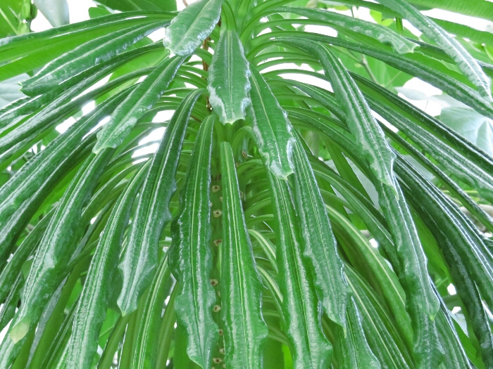 f:id:jerich:20180513010516j:plain f:id:jerich:20180513010516j:plain