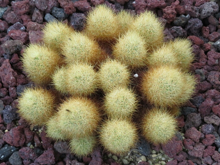 f:id:jerich:20180513010522j:plain f:id:jerich:20180513010522j:plain