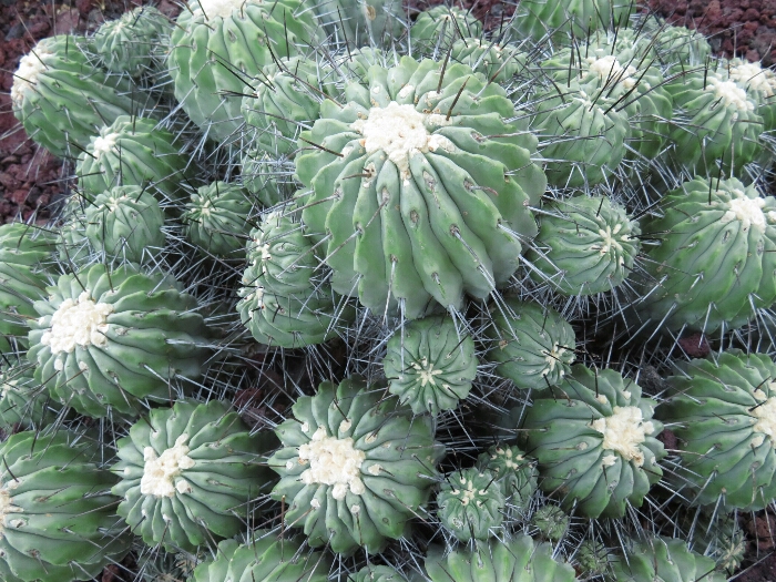 f:id:jerich:20180513010526j:plain f:id:jerich:20180513010526j:plain