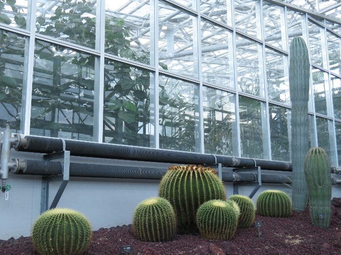 f:id:jerich:20180513010529j:plain f:id:jerich:20180513010529j:plain