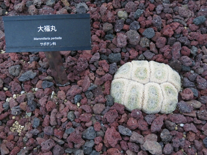 f:id:jerich:20180513010535j:plain f:id:jerich:20180513010535j:plain