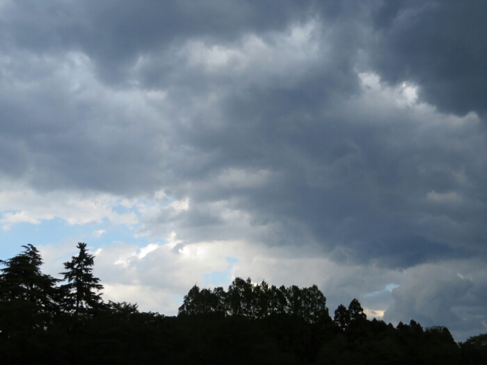 f:id:jerich:20180514235856j:plain