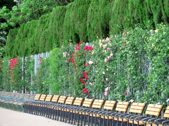 神代植物公園