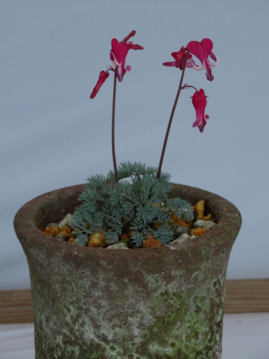 f:id:jerich:20180515010753j:plain