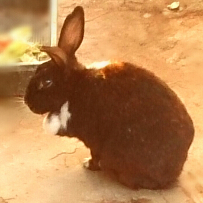 f:id:jerich:20180516000430j:plain f:id:jerich:20180516000430j:plain
