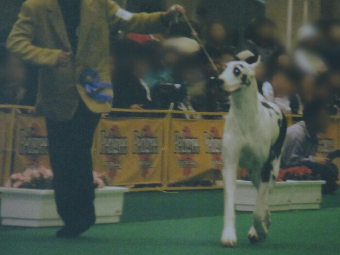 f:id:jerich:20180522023946j:plain
