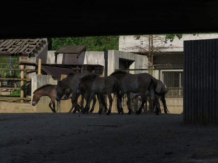 f:id:jerich:20180526003613j:plain