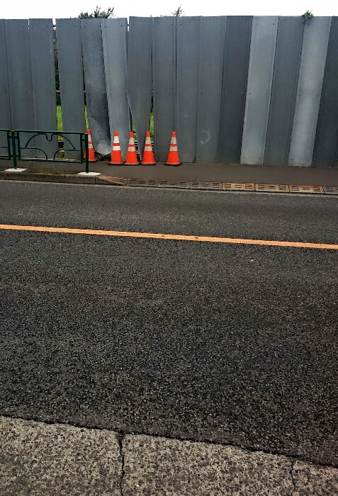 竹やぶで失くしたカラーコーンがあんなところにw