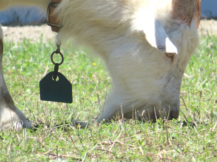 f:id:jerich:20180530011920j:plain