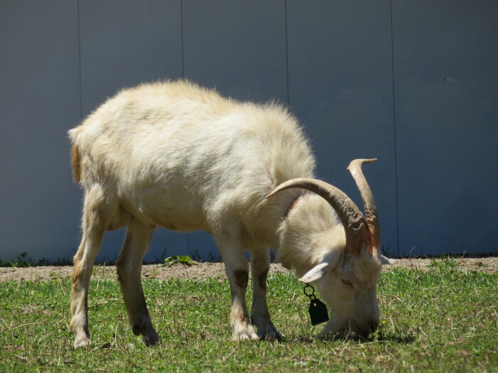 f:id:jerich:20180530011923j:plain