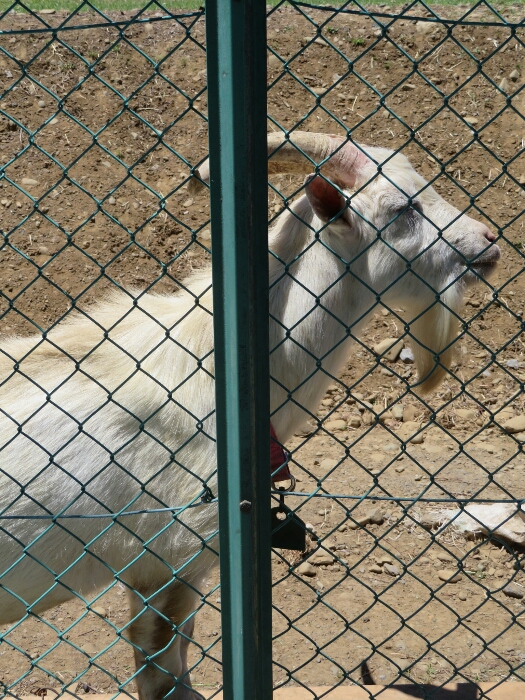 f:id:jerich:20180530011929j:plain