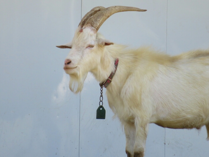 f:id:jerich:20180530012115j:plain