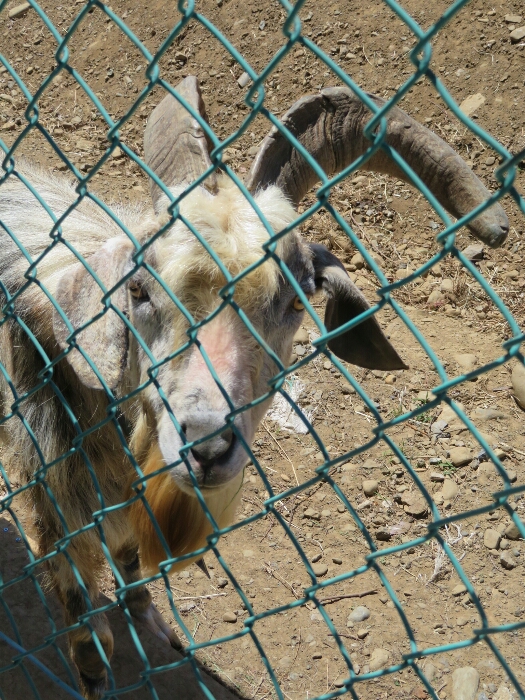 f:id:jerich:20180530012119j:plain