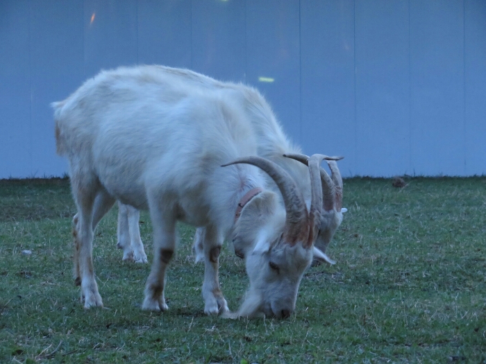 f:id:jerich:20180530020944j:plain