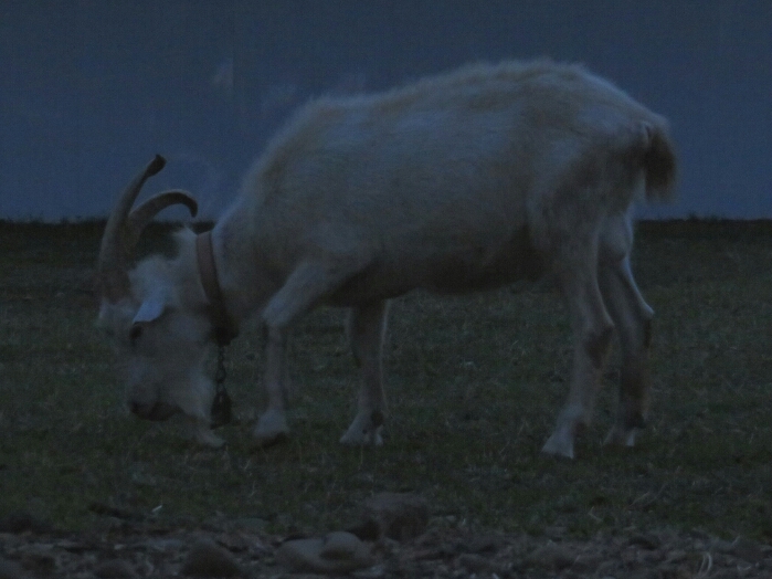 f:id:jerich:20180530020948j:plain