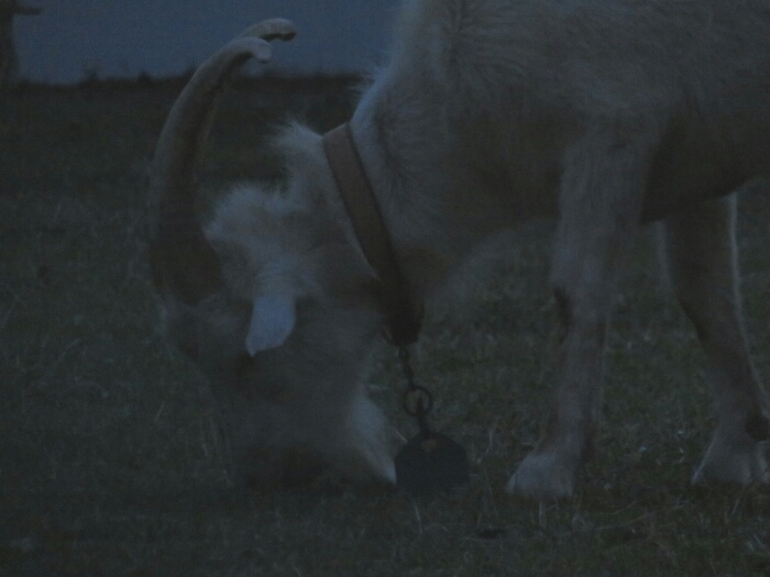 f:id:jerich:20180530020951j:plain