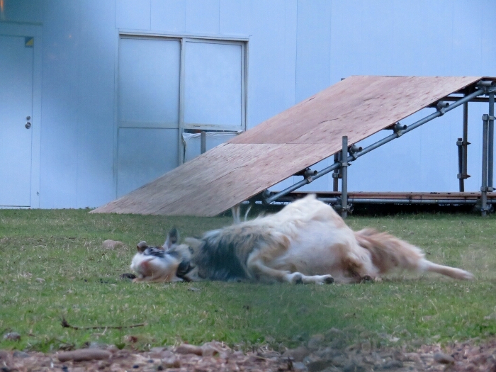 f:id:jerich:20180530021146j:plain