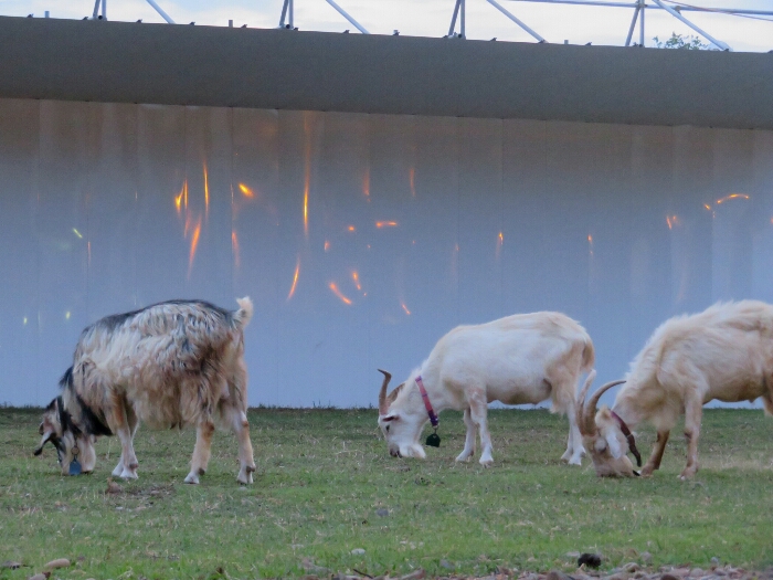 f:id:jerich:20180530021154j:plain