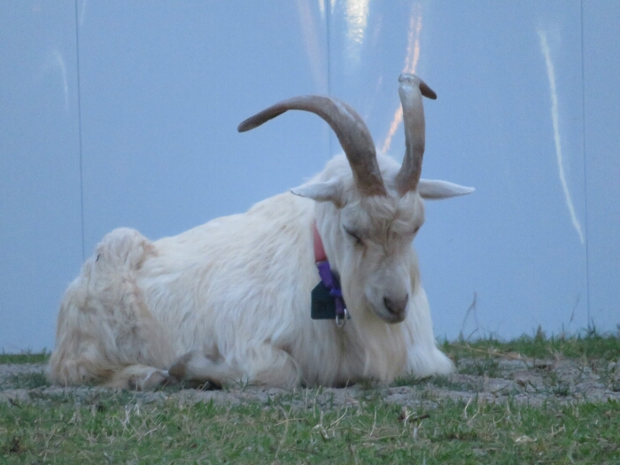 f:id:jerich:20180530021157j:plain