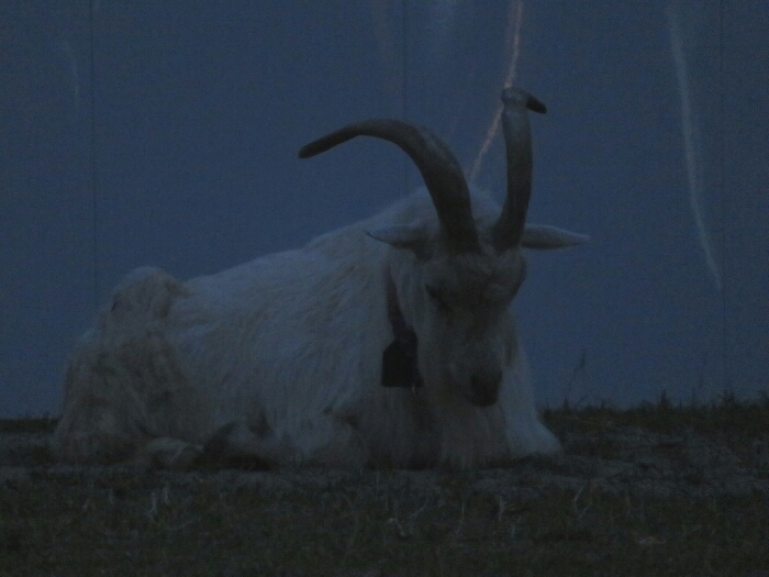 f:id:jerich:20180530021347j:plain