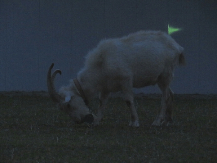 f:id:jerich:20180530021350j:plain