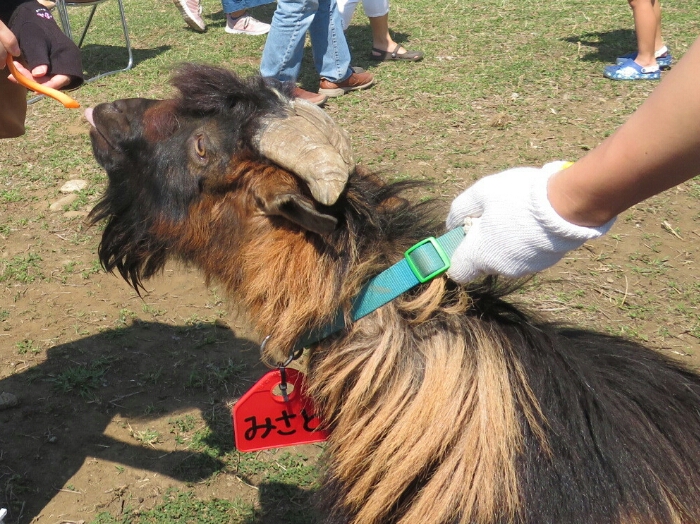 f:id:jerich:20180604001336j:plain