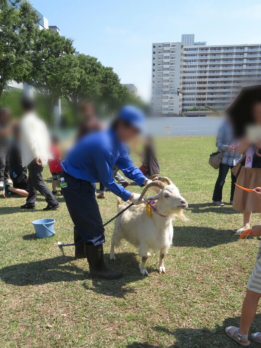 f:id:jerich:20180604001343j:plain