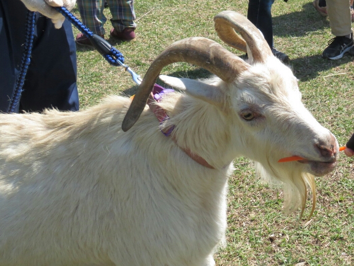 f:id:jerich:20180604001546j:plain