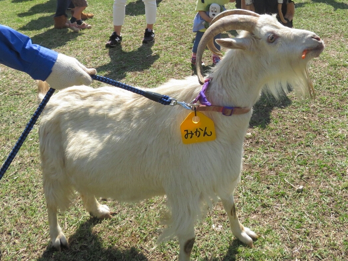 f:id:jerich:20180604001549j:plain