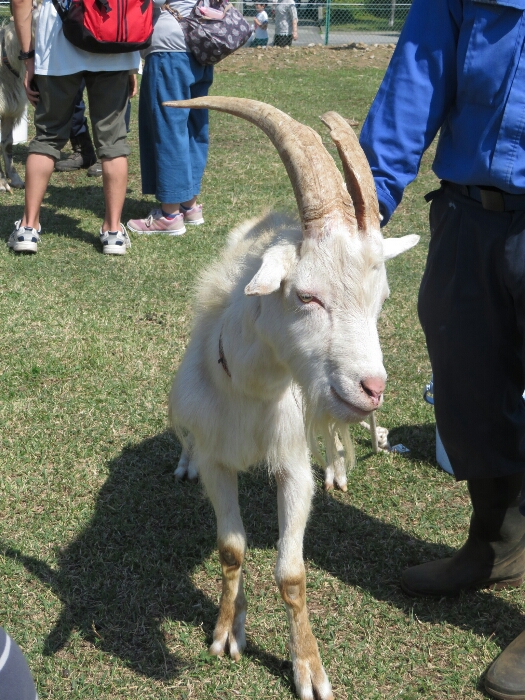 f:id:jerich:20180604012022j:plain