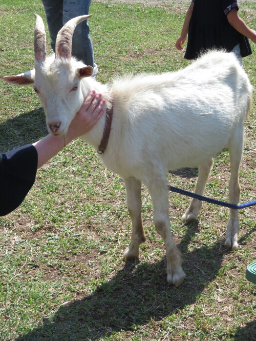 f:id:jerich:20180604012209j:plain