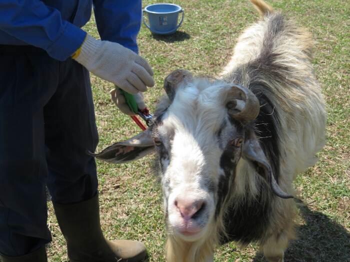 f:id:jerich:20180604012219j:plain