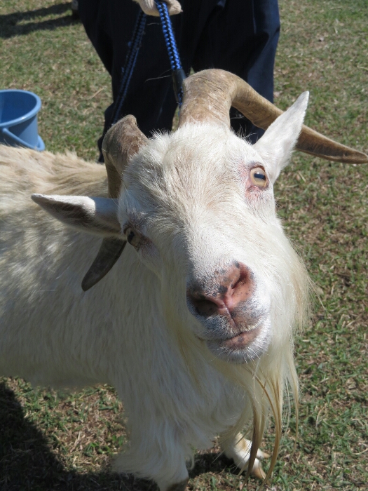 f:id:jerich:20180604013824j:plain