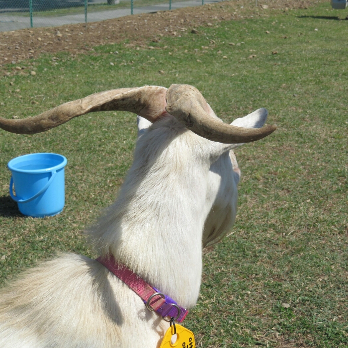 f:id:jerich:20180604013830j:plain