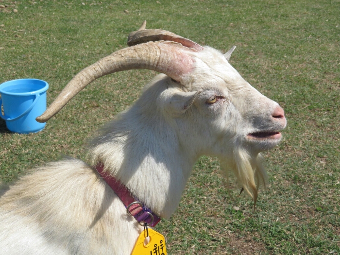 f:id:jerich:20180604013833j:plain