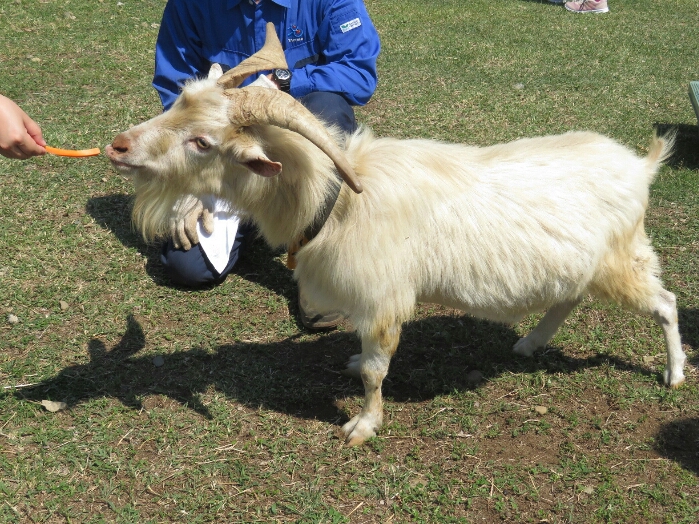 f:id:jerich:20180604013836j:plain