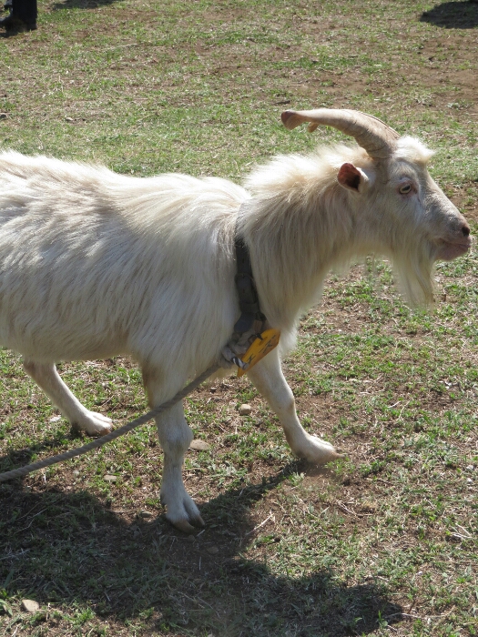 f:id:jerich:20180604013947j:plain