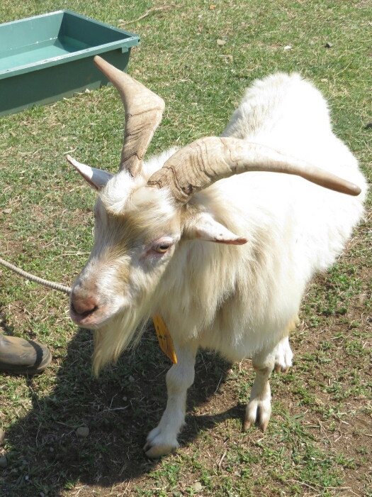 f:id:jerich:20180604013957j:plain