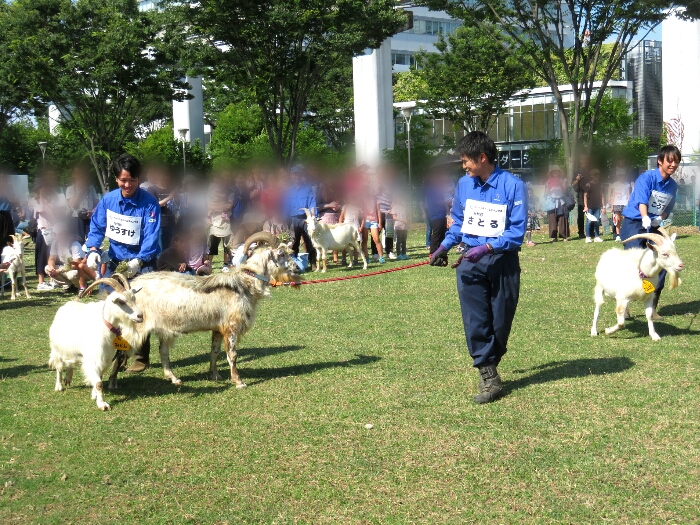 f:id:jerich:20180605001741j:plain f:id:jerich:20180605001741j:plain