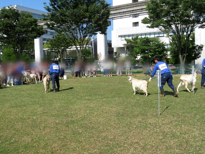 f:id:jerich:20180605004907j:plain f:id:jerich:20180605004907j:plain
