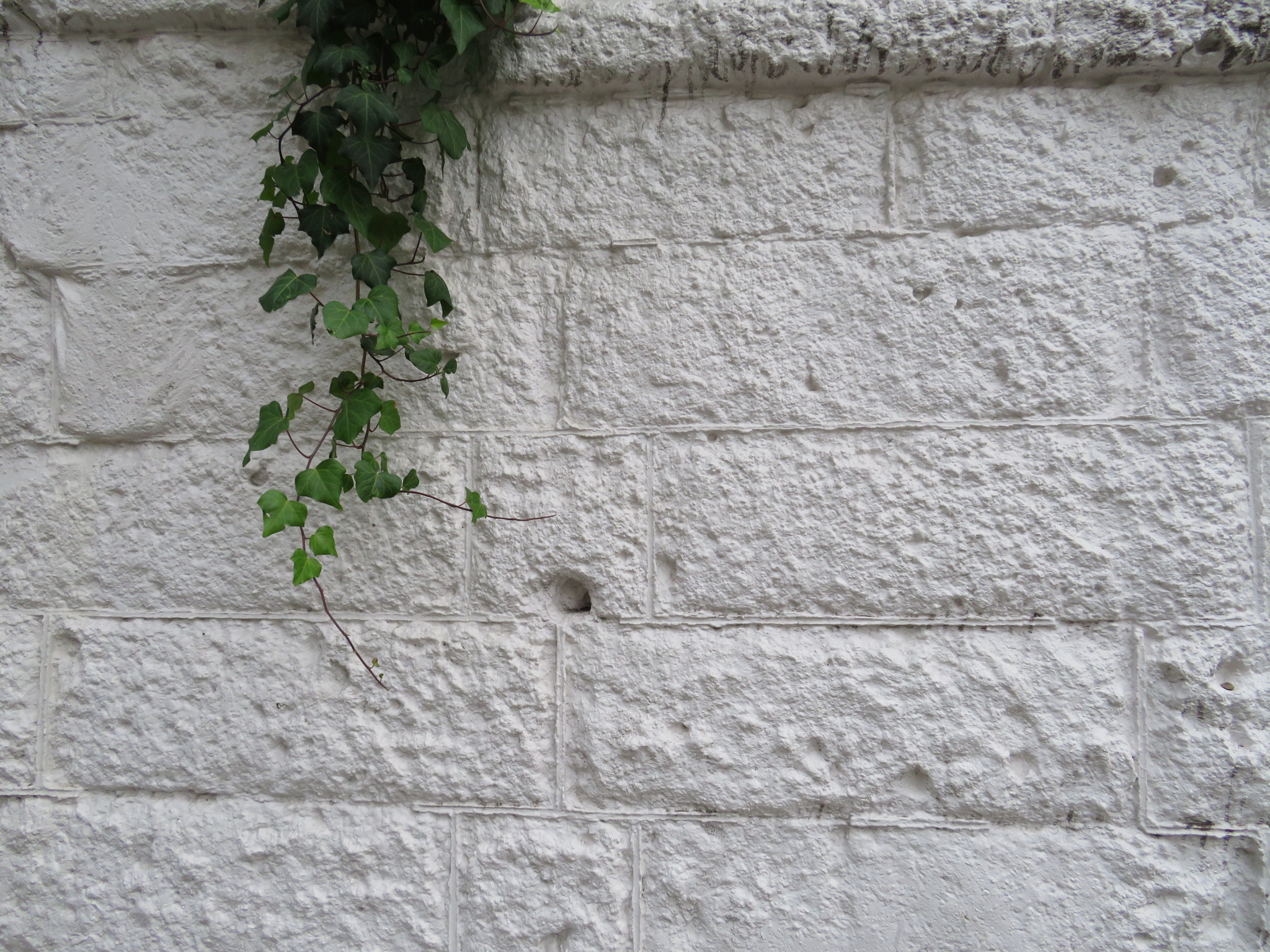 f:id:jerich:20180607233131j:image