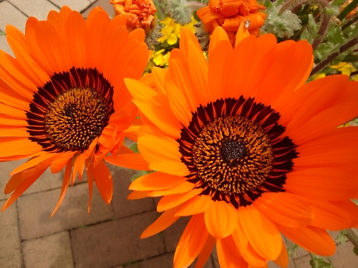 f:id:jerich:20180608000251j:plain