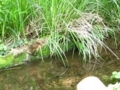 20180609030139