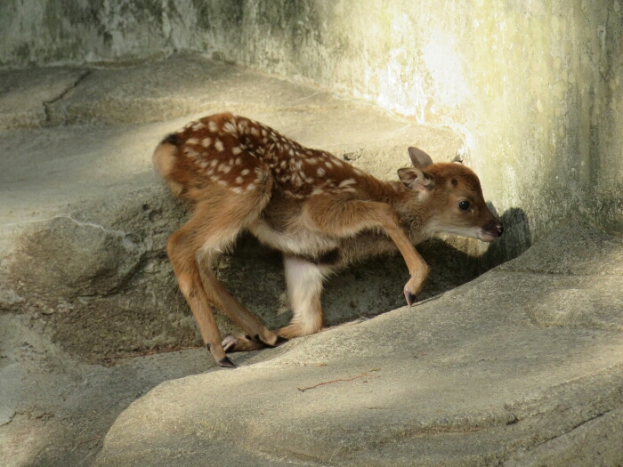 f:id:jerich:20180619001904j:plain f:id:jerich:20180619001904j:plain