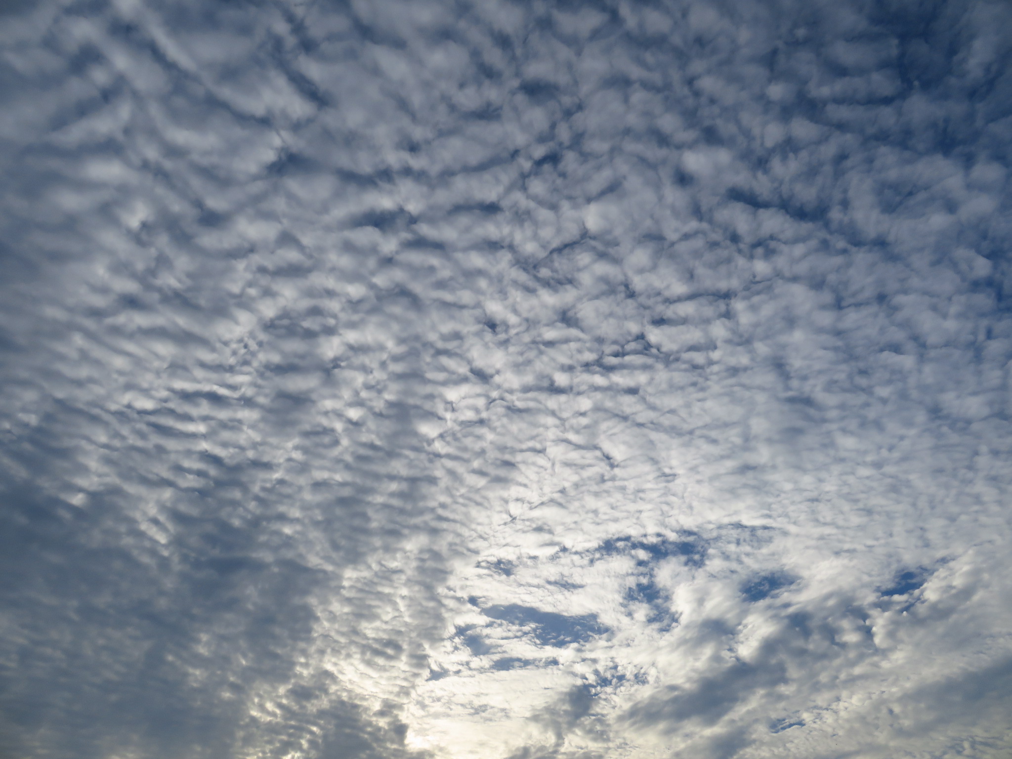 f:id:jerich:20180619225644j:image