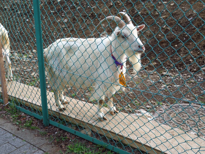 f:id:jerich:20180620231523j:plain